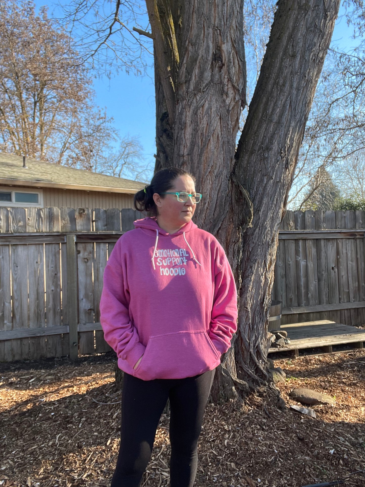 Emotional Support Hoodie