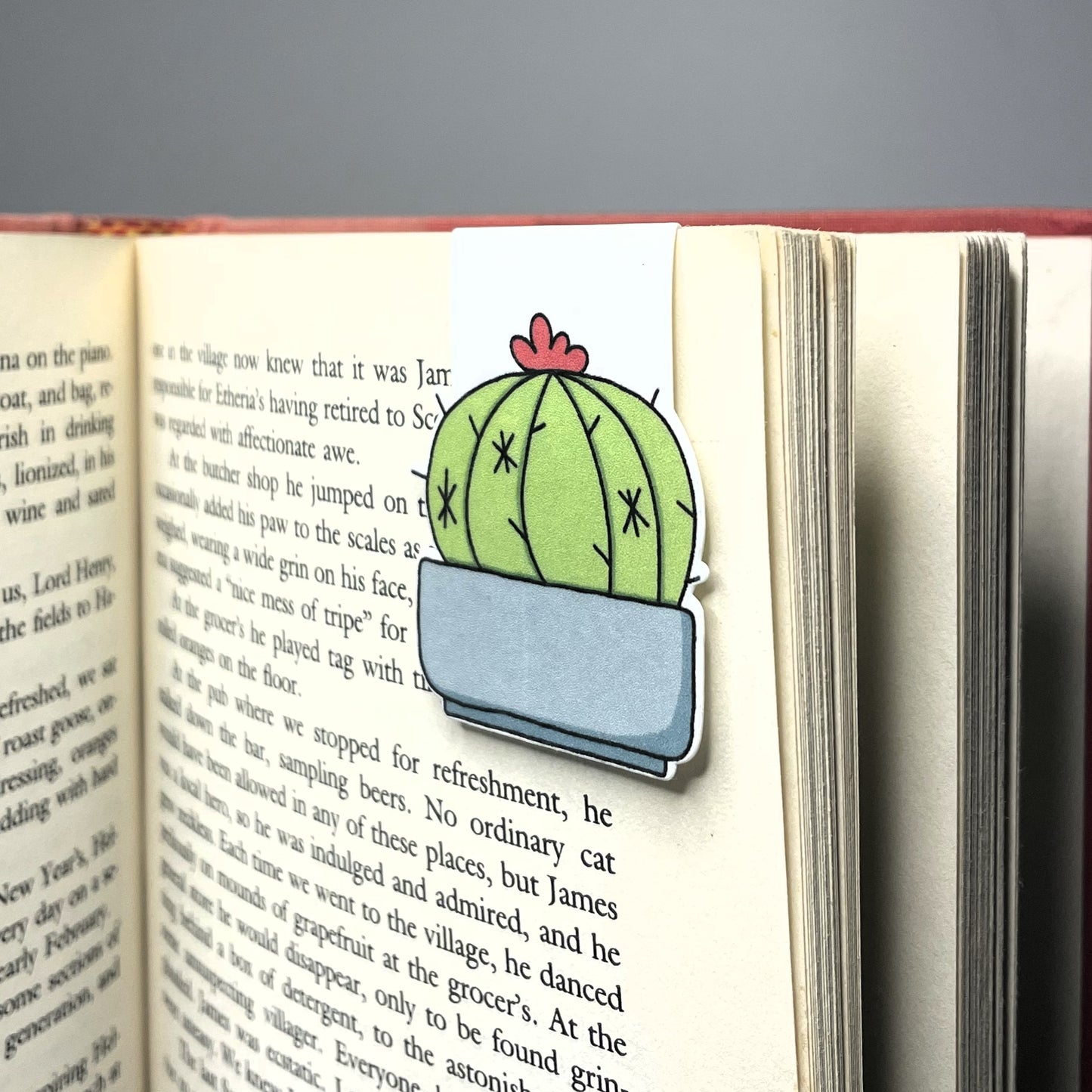 Magnetic Bookmark - Stumpy The Cactus