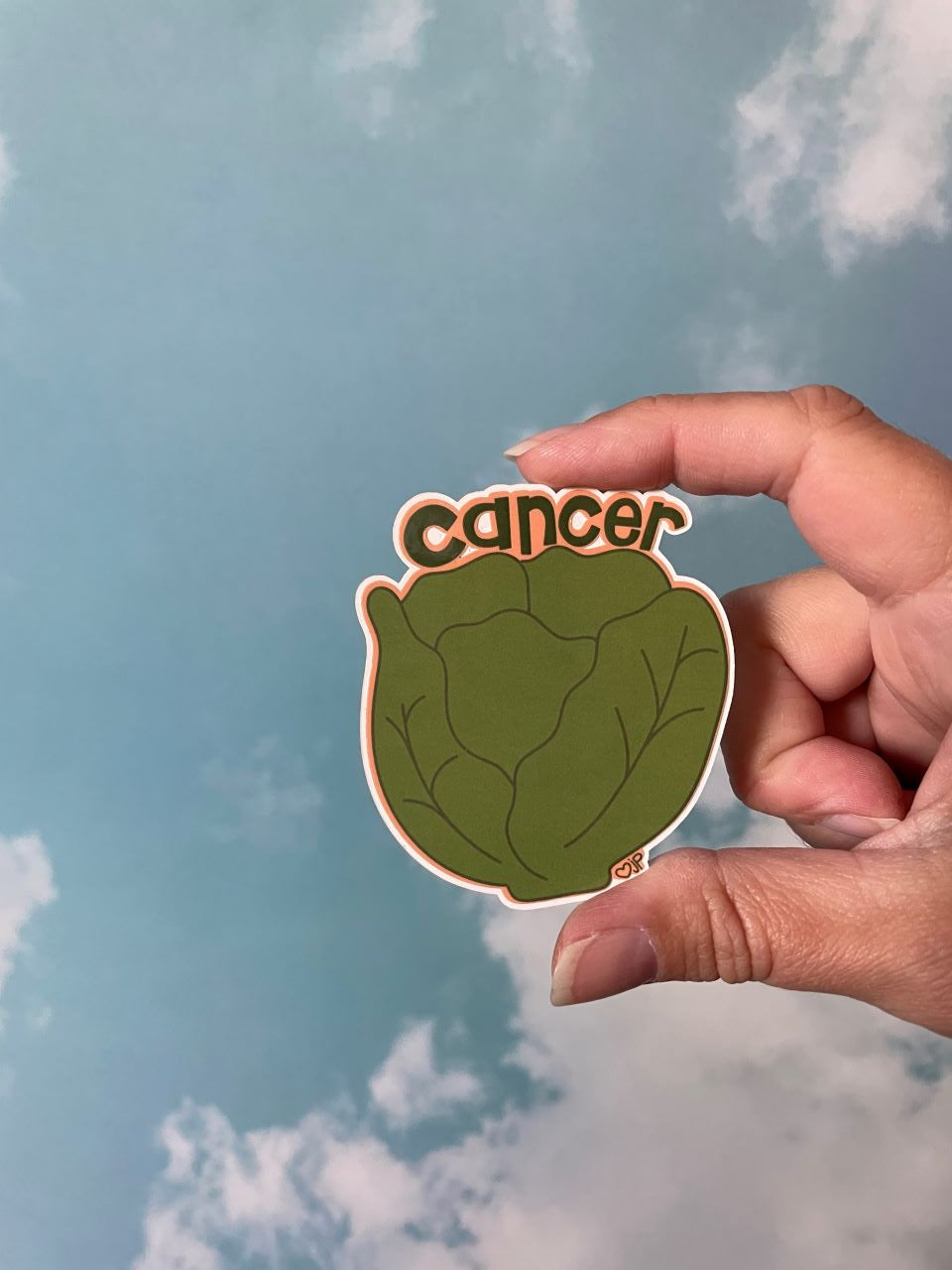 Vinyl Sticker Zodiac  Veggies