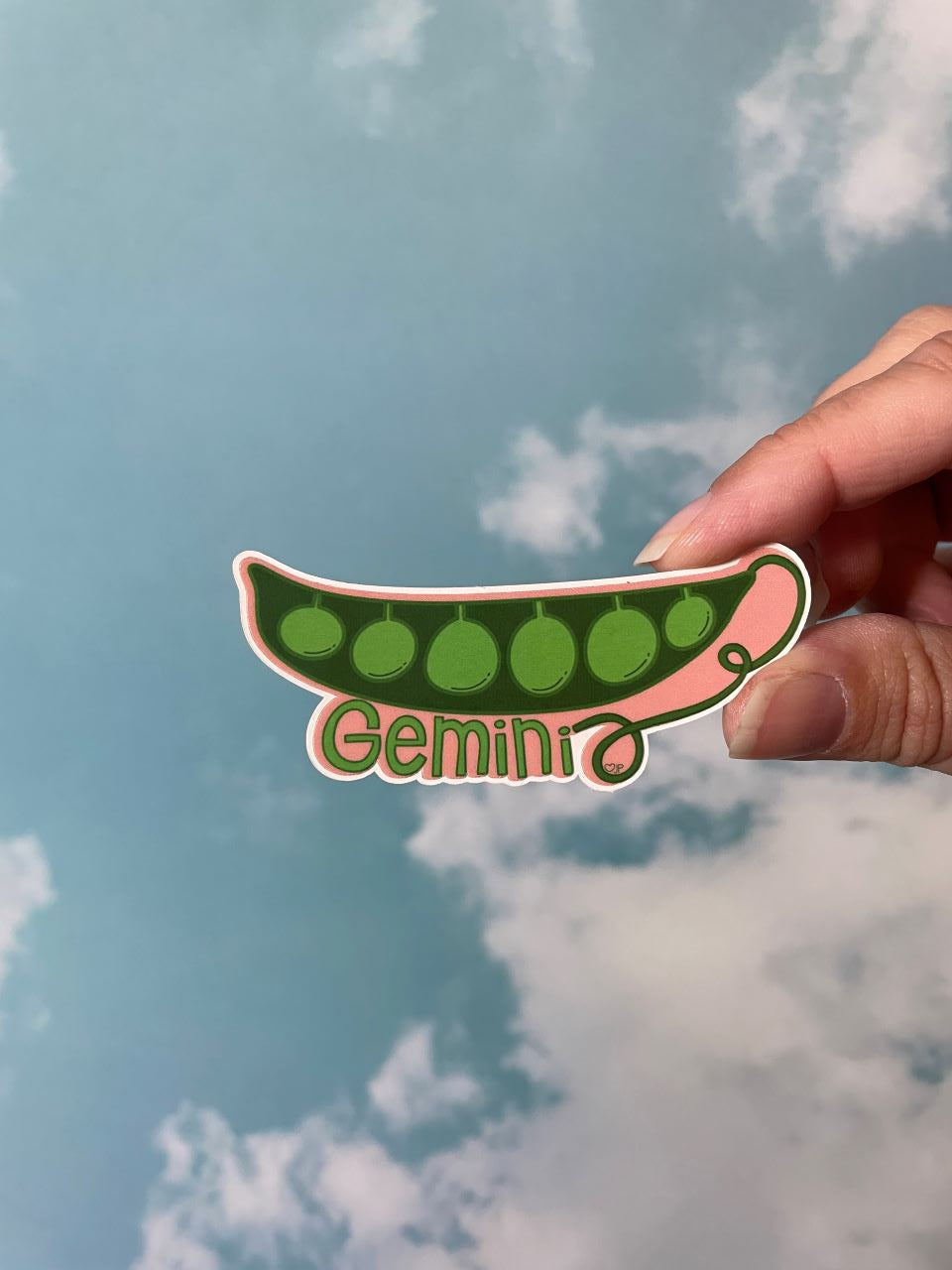 Vinyl Sticker Zodiac  Veggies